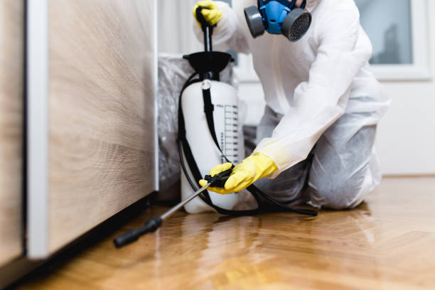 Best Affordable Pest Control Services  in Wabash, IN