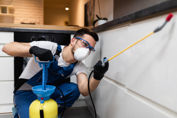 Best Local Pest Control Services  in Wabash, IN