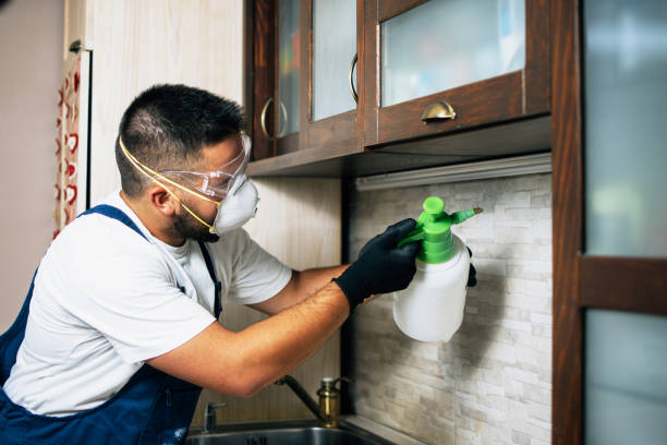 Pest Control for Restaurants in Wabash, IN